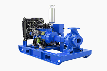 Diesel Engine Horizontal Single-Stage Pump